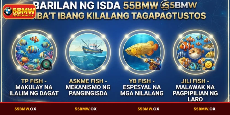 Barilan ng Isda 55BMW Kasama ang Mga Kilalang Tagapagtustos
